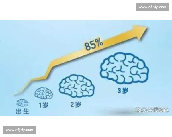 提升大脑反应速度的科学训练方法与实用技巧全面解析 提升大脑反应速度的科学训练方法与实用技巧全面解析